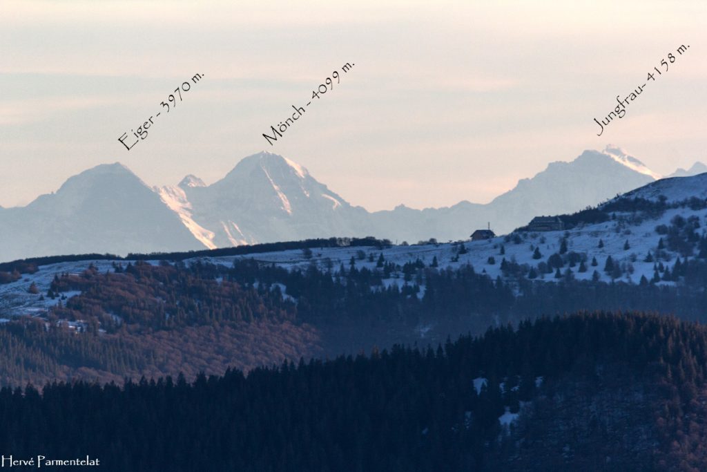 vues-des-alpes-vosges-nature